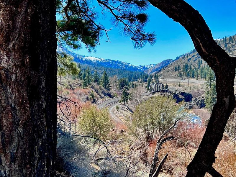 Tahoe Pyramid Trail is starting to green