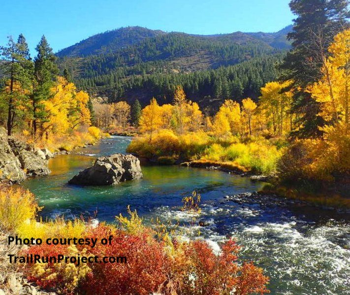 Fall Color on the Truckee River in the Floriston area